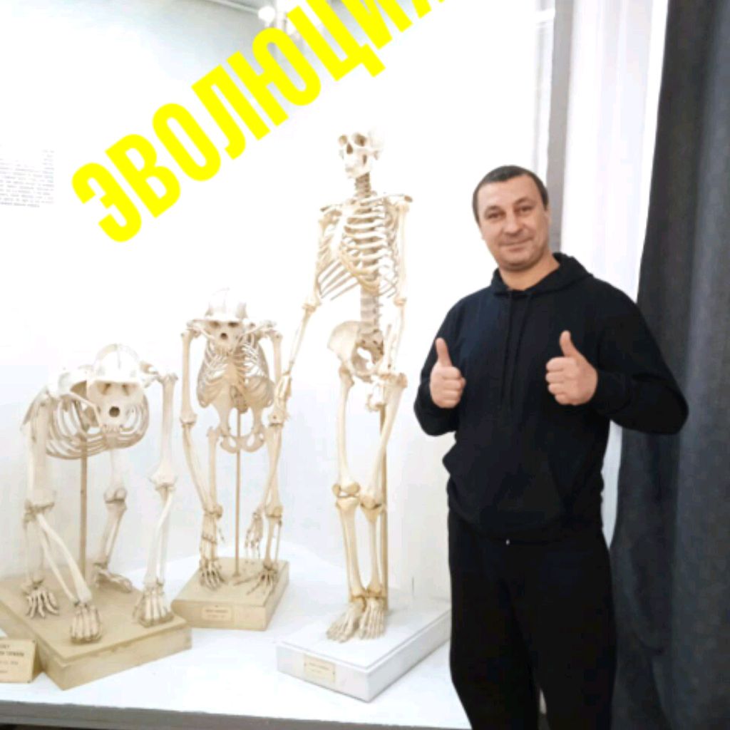 Аватар пользователя