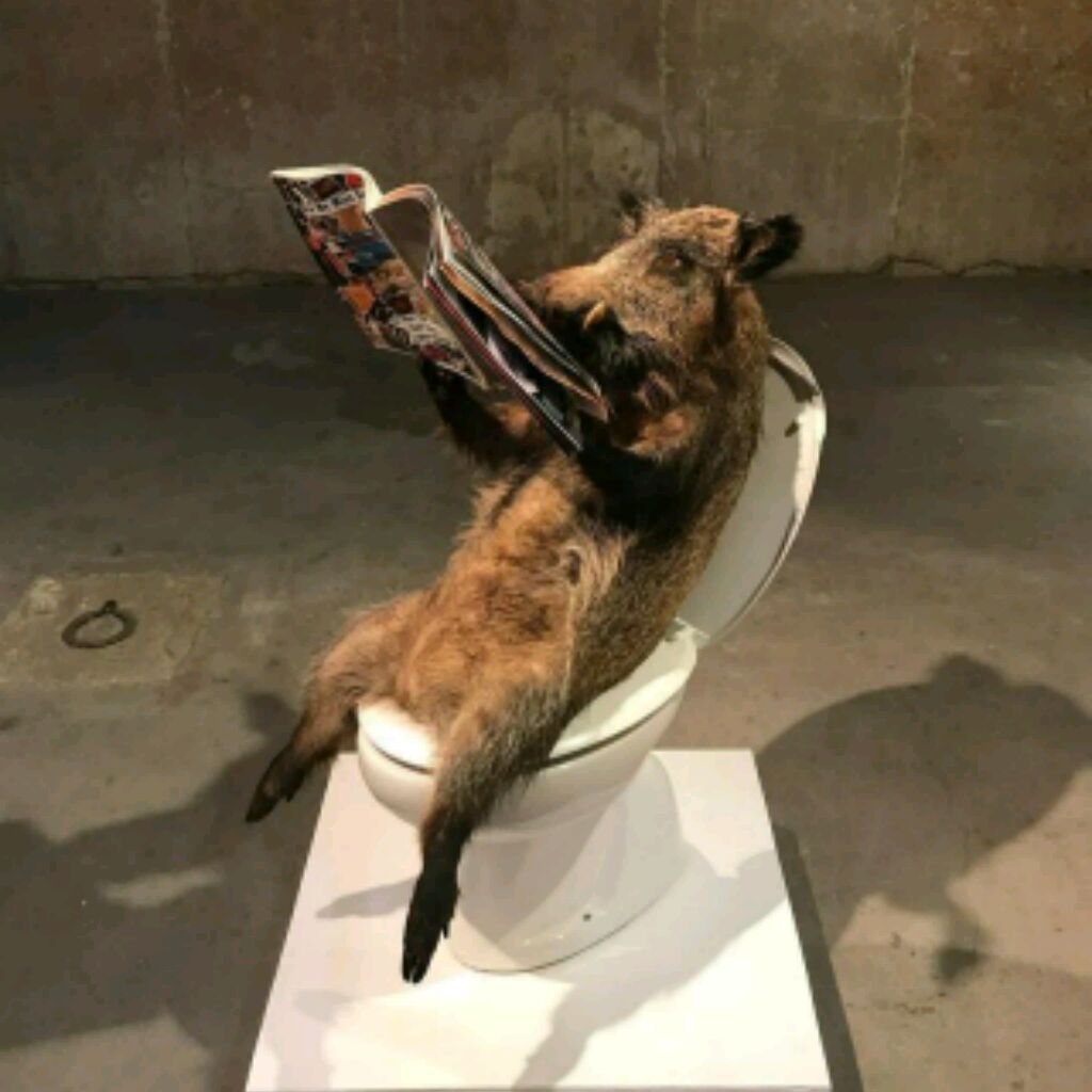 Аватар пользователя