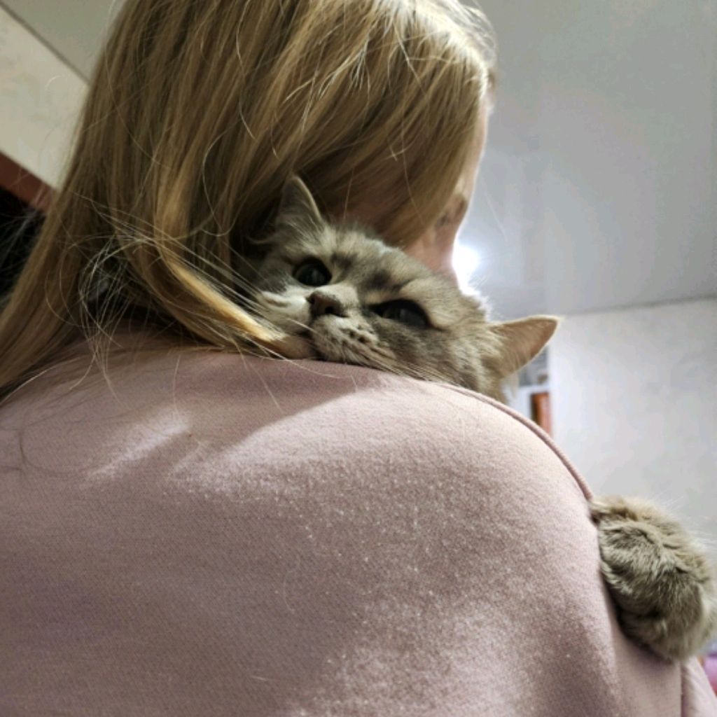 Аватар пользователя