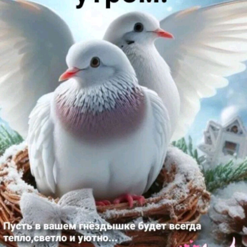 Аватар пользователя