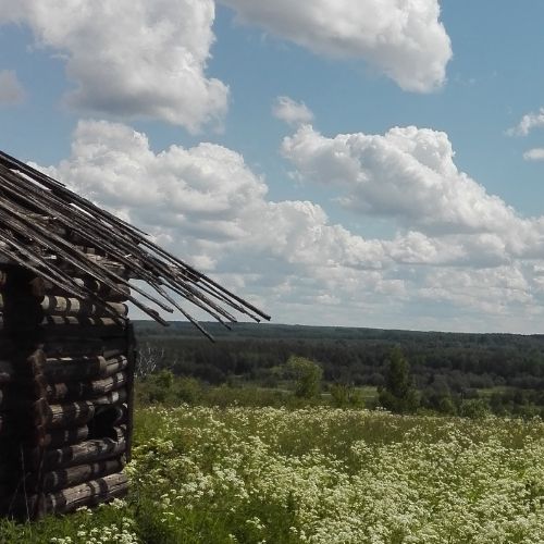 Аватар пользователя