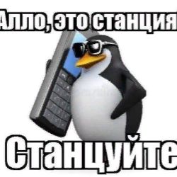 Аватар пользователя
