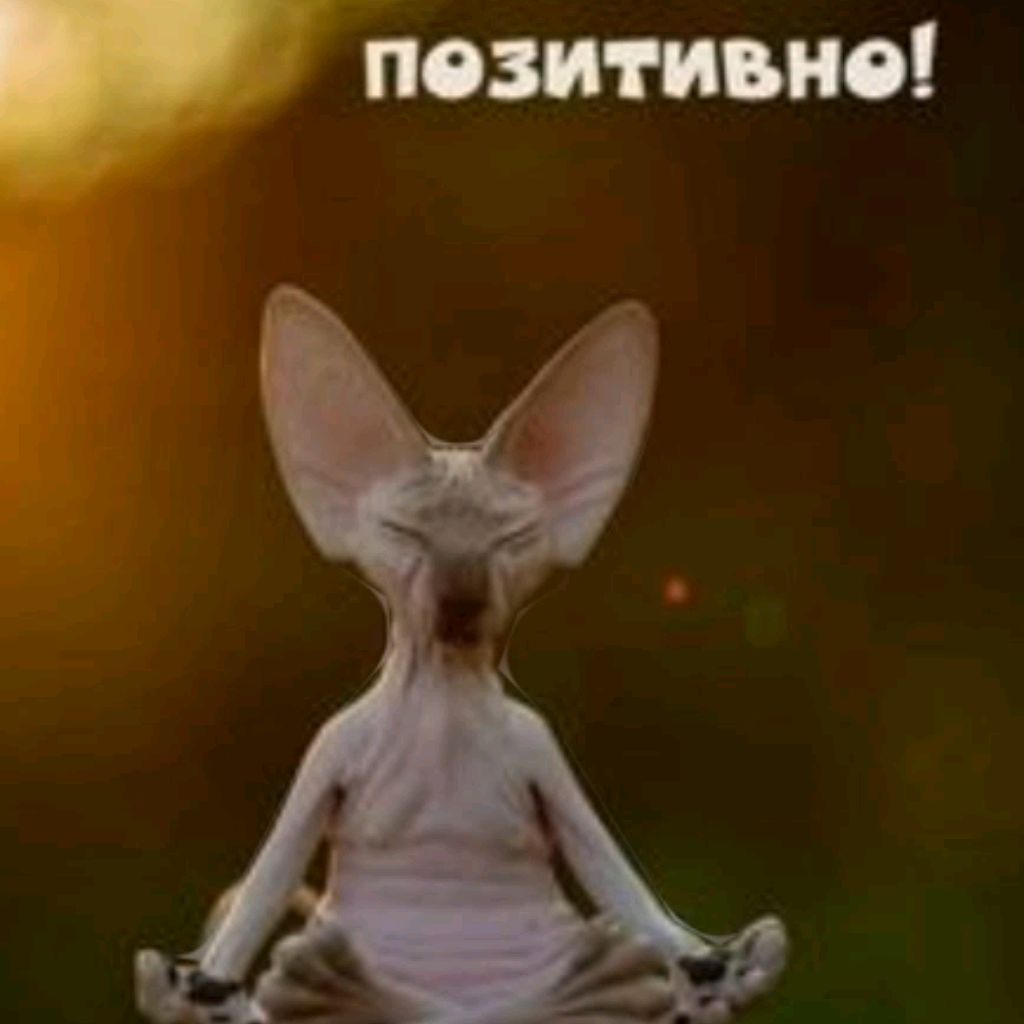 Аватар пользователя