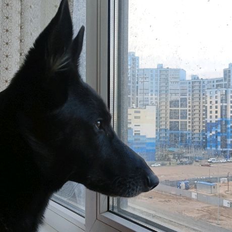 Аватар пользователя