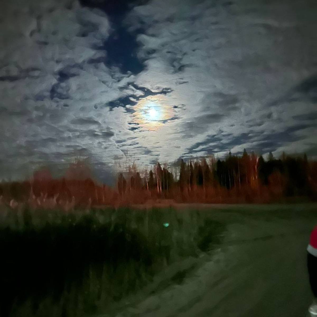 Аватар пользователя