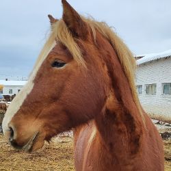 Аватар пользователя
