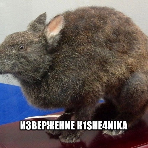 Аватар пользователя