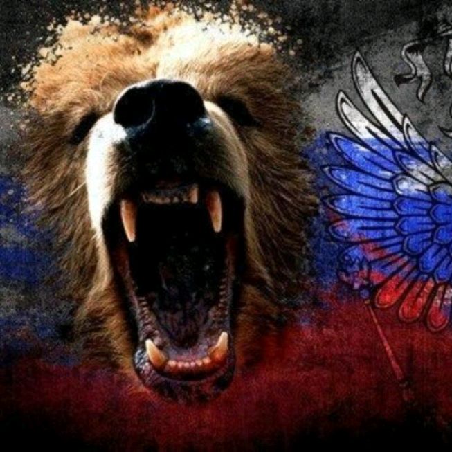 Аватар пользователя