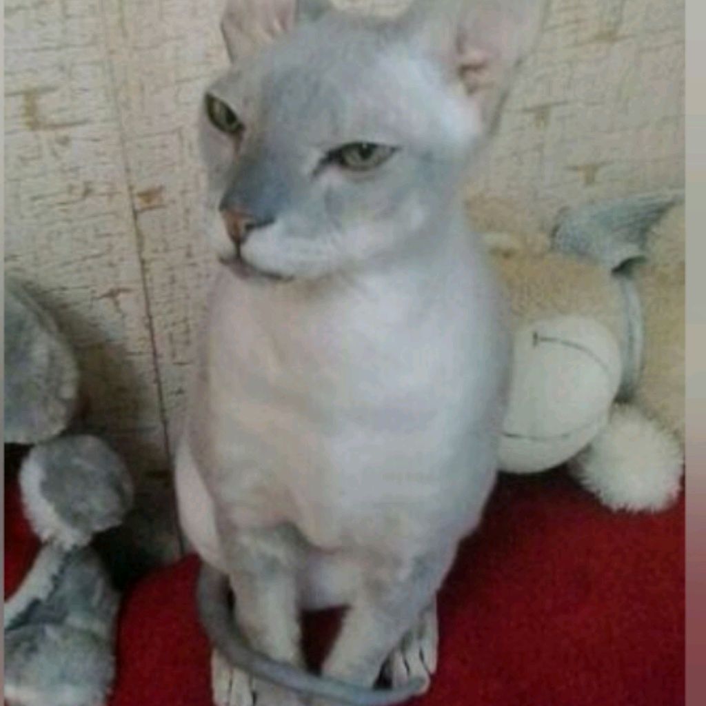 Аватар пользователя