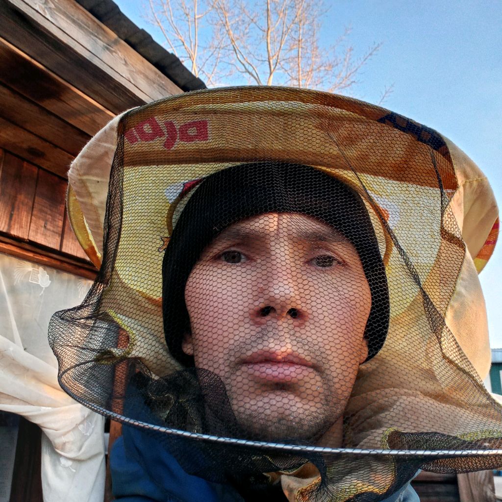 Аватар пользователя