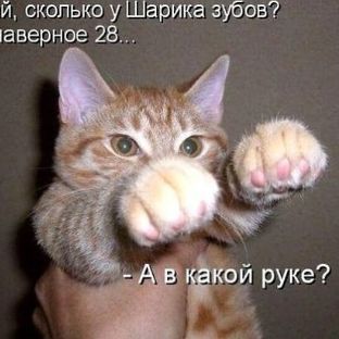 Аватар пользователя
