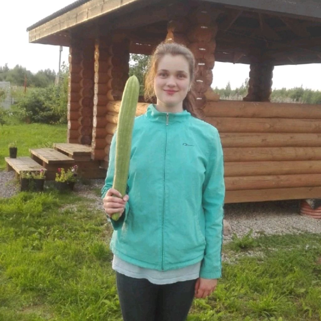 Аватар пользователя