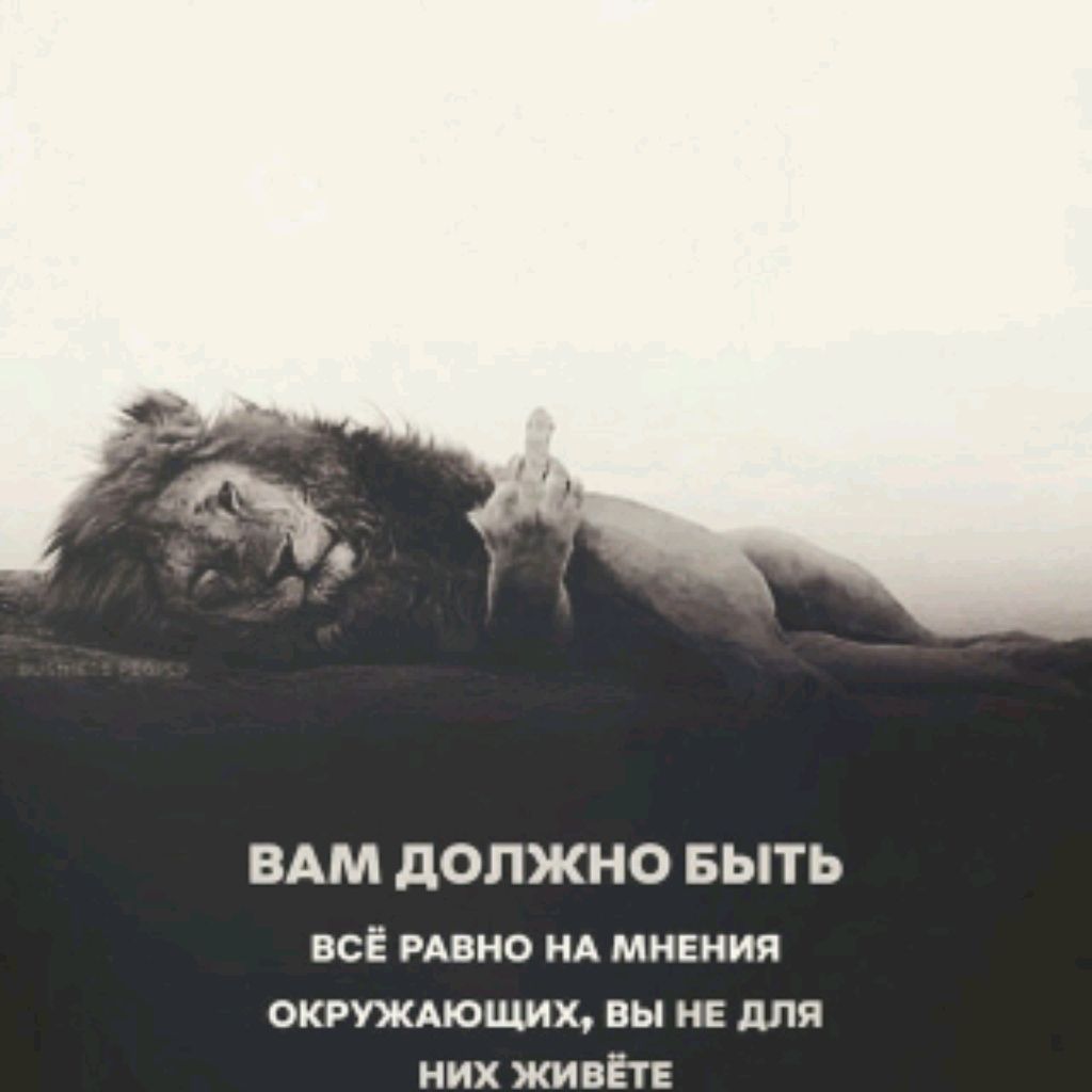 Аватар пользователя