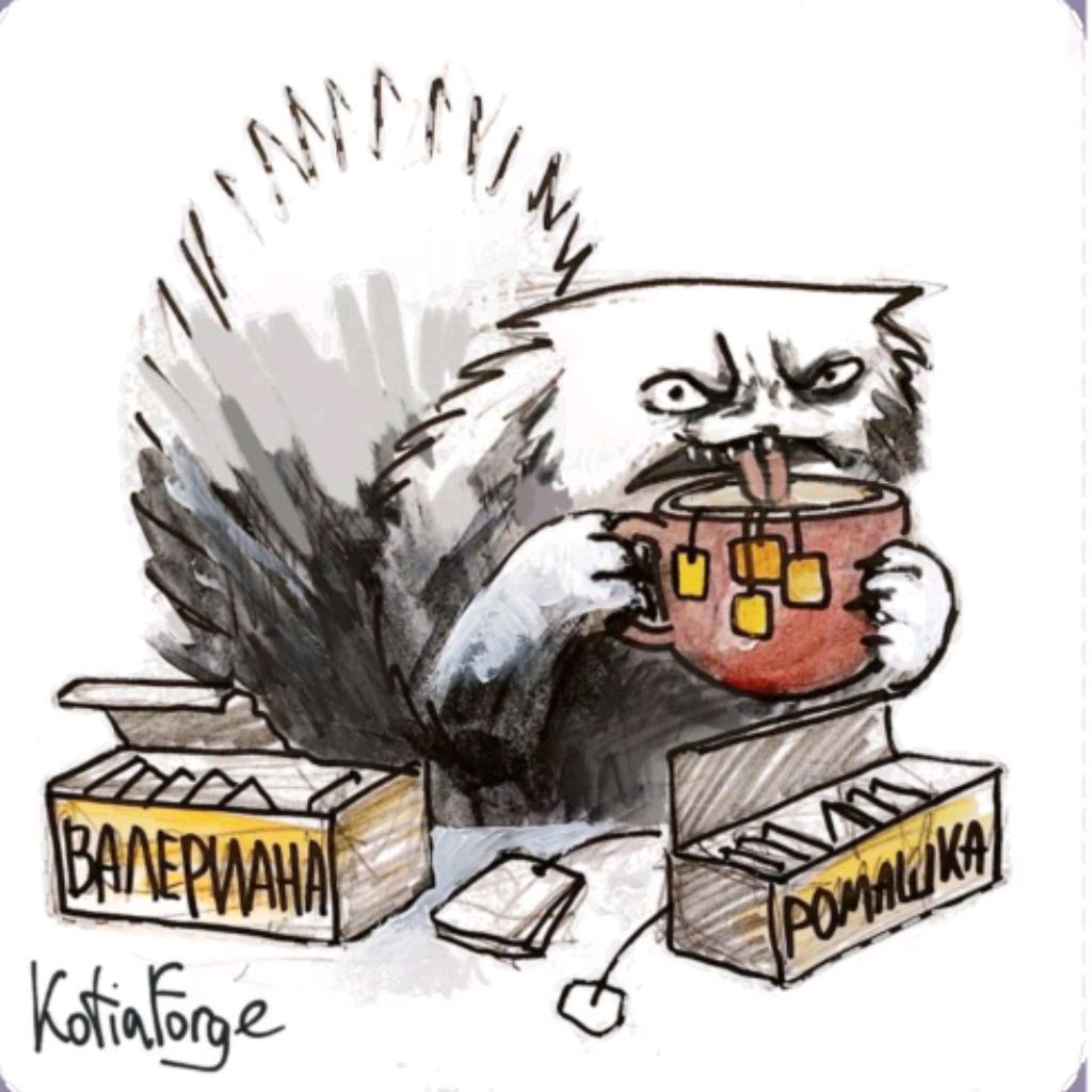 Аватар пользователя