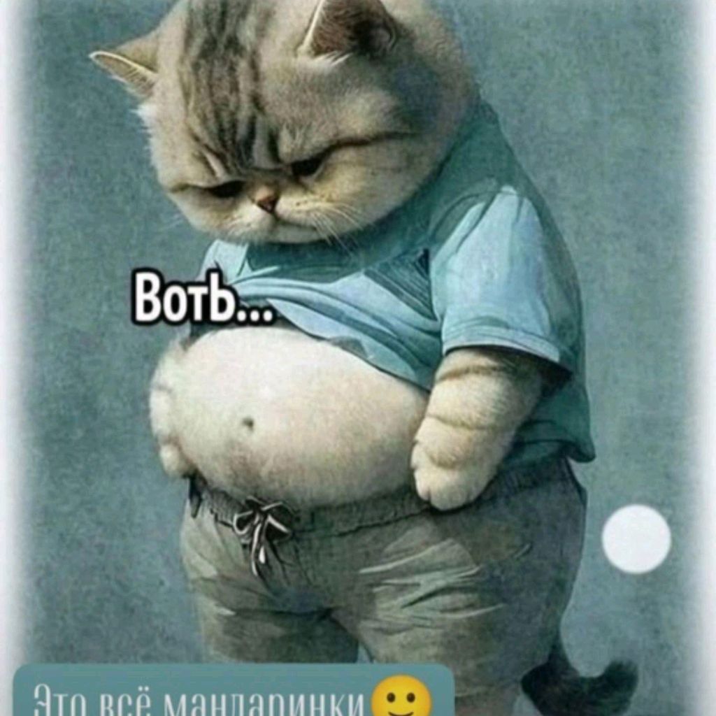 Аватар пользователя