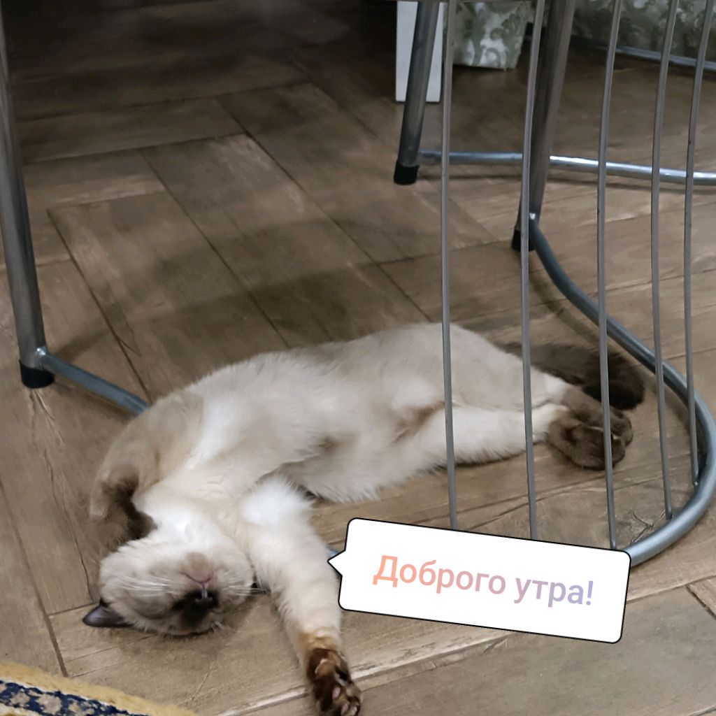 Аватар пользователя