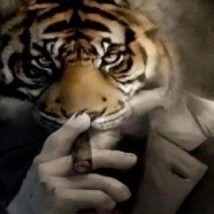Аватар пользователя