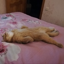 Аватар пользователя