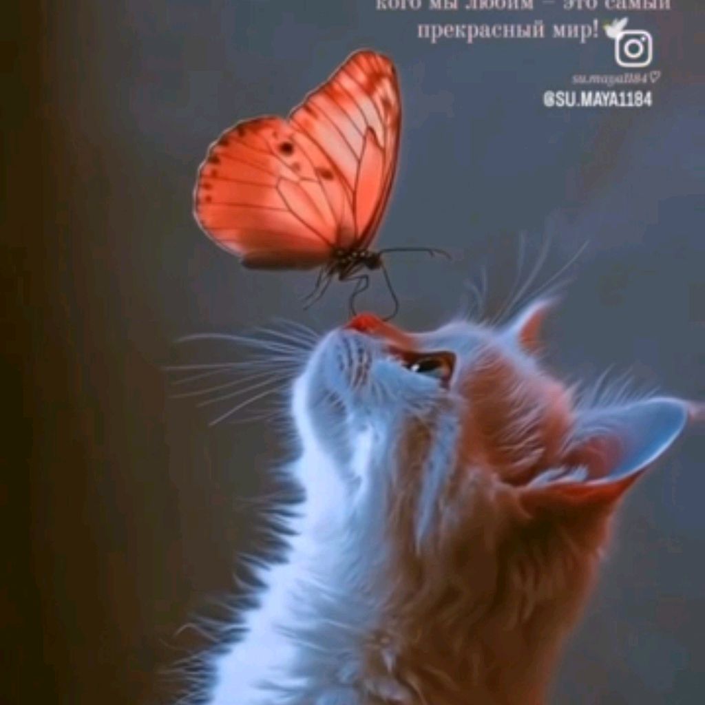 Аватар пользователя