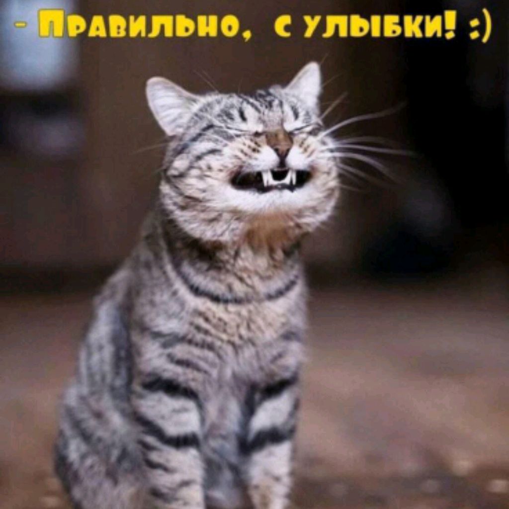 Аватар пользователя