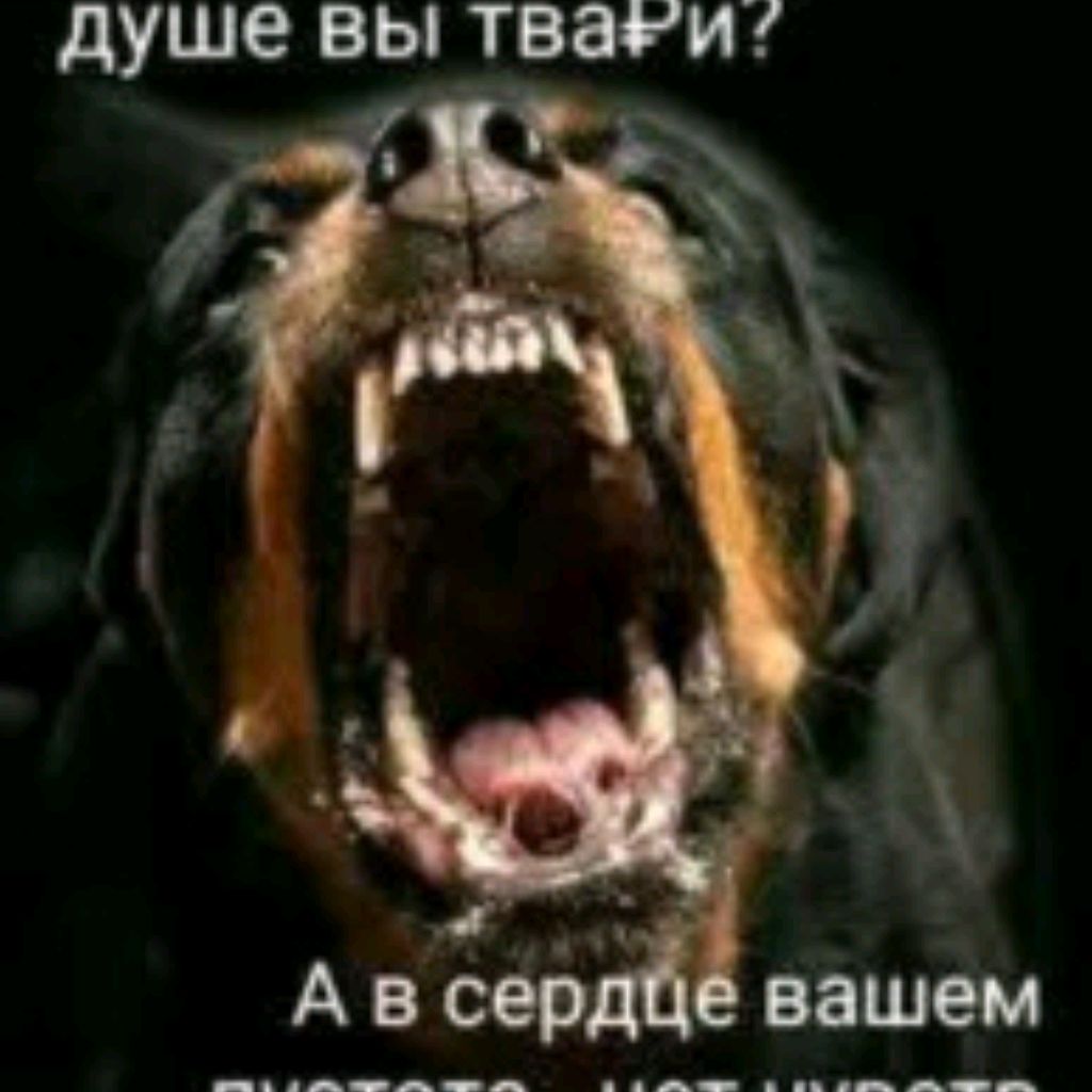 Аватар пользователя