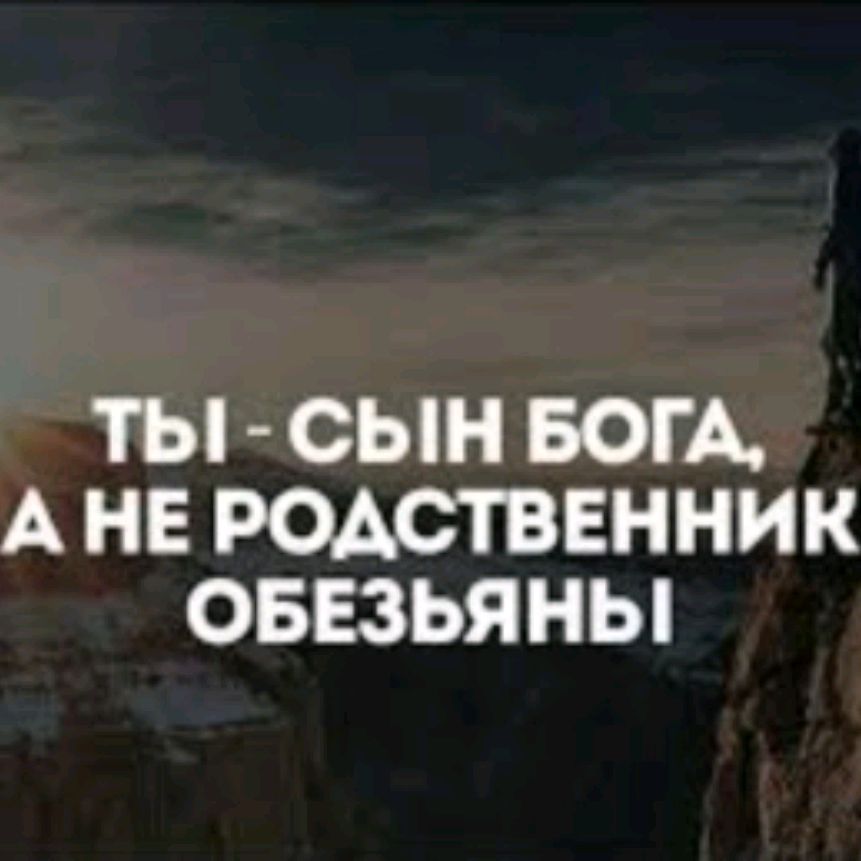 Аватар пользователя