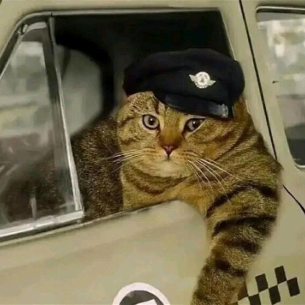 Аватар пользователя