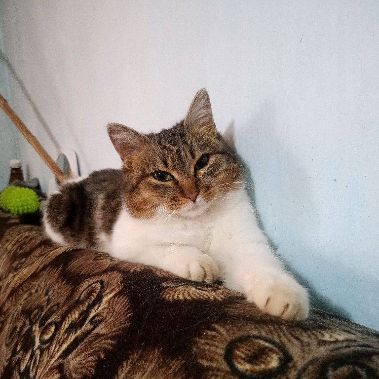 Аватар пользователя