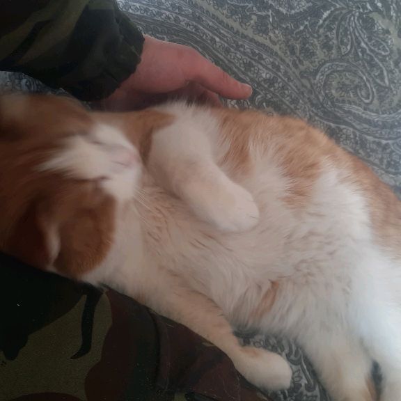 Аватар пользователя