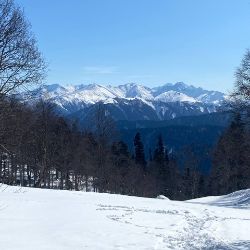 Аватар пользователя