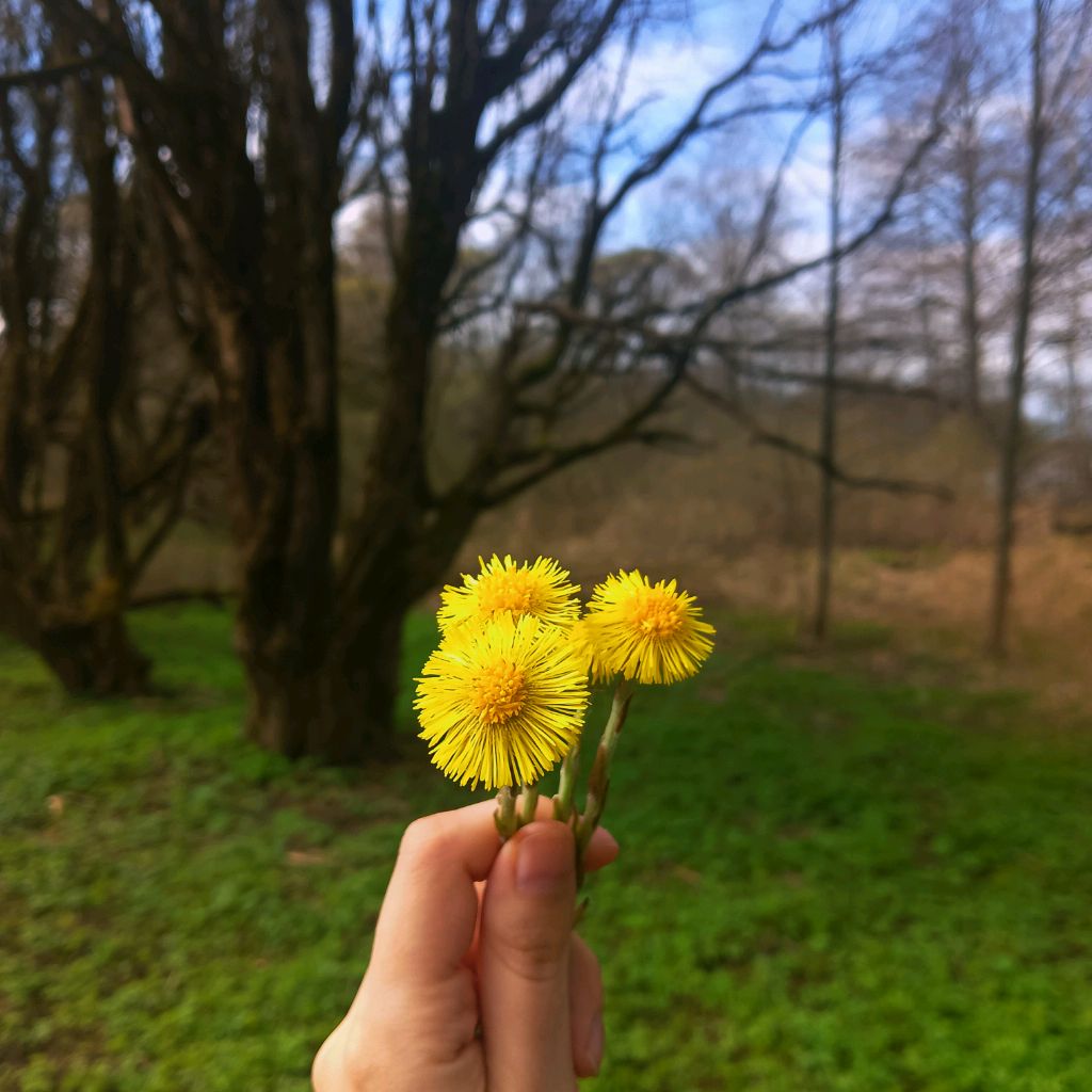 Аватар пользователя