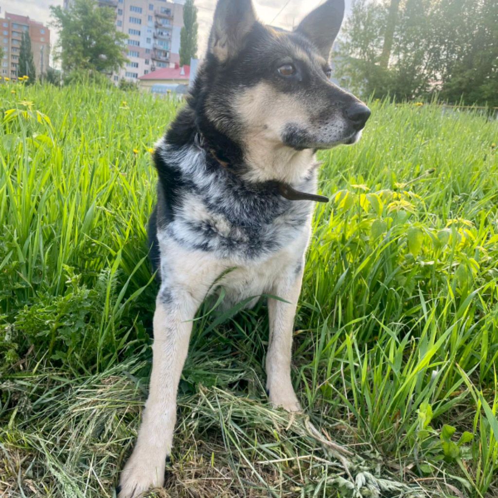 Аватар пользователя