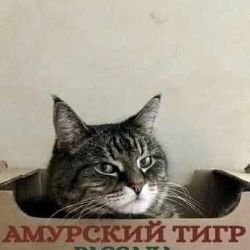 Аватар пользователя