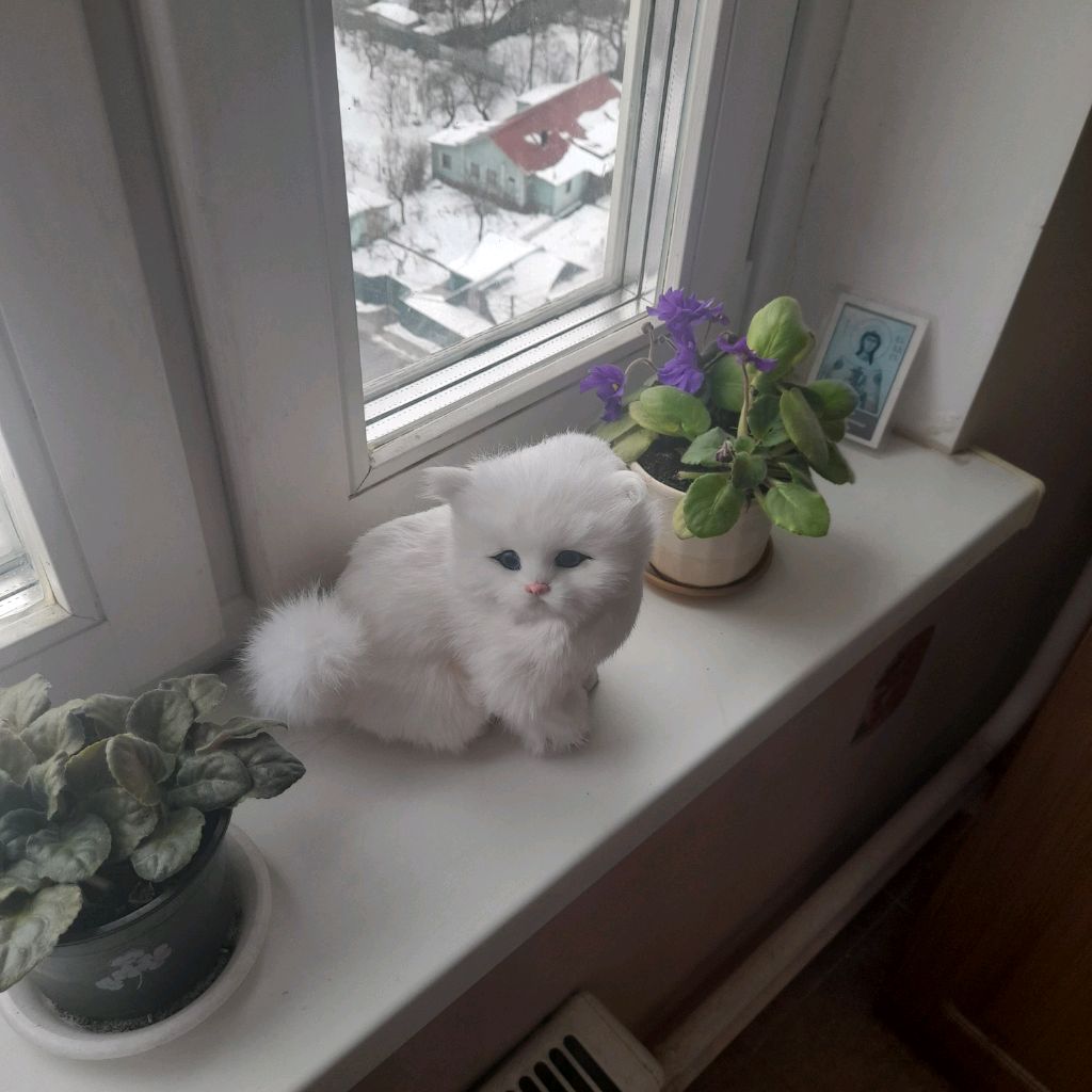 Аватар пользователя