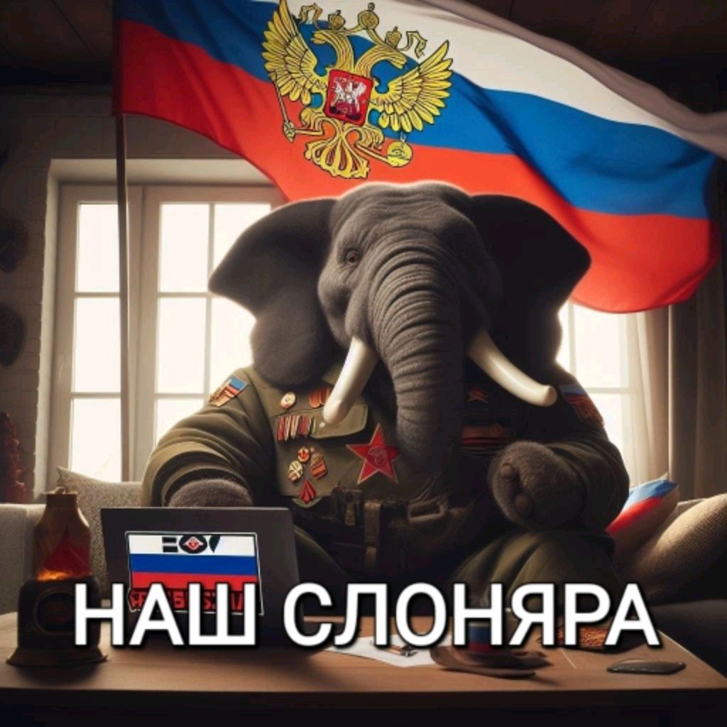 Аватар пользователя