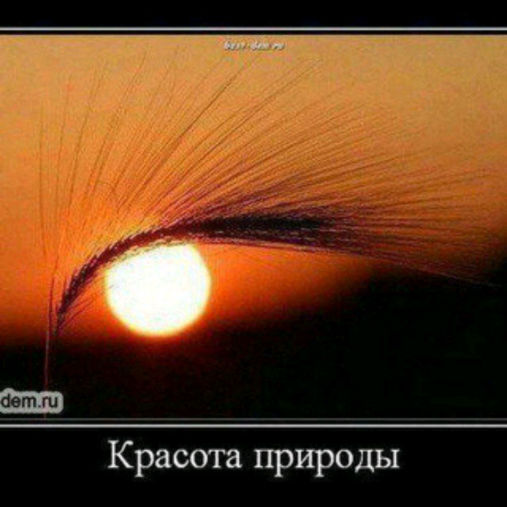 Аватар пользователя