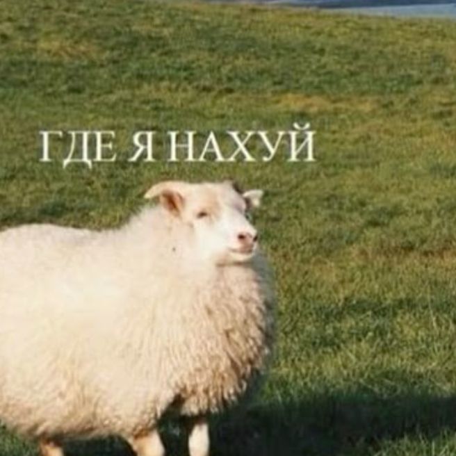 Аватар пользователя