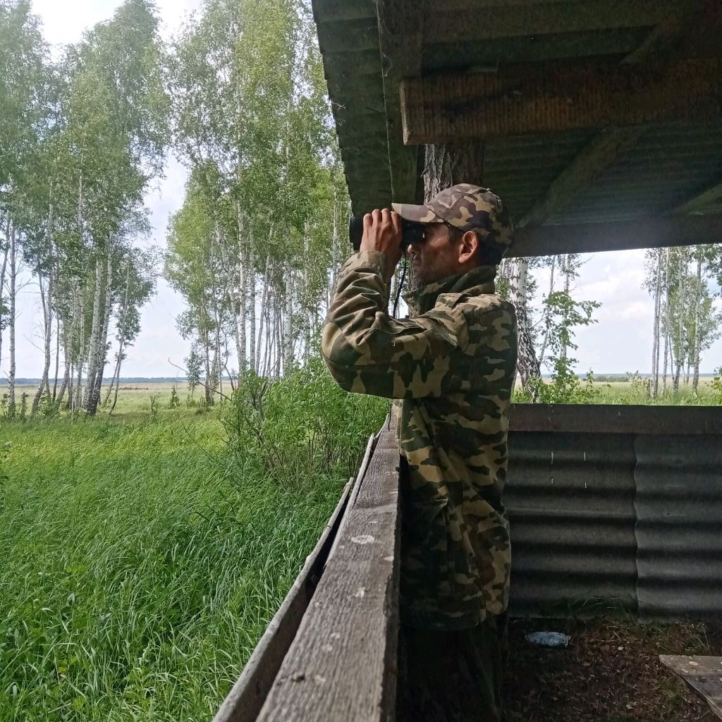 Аватар пользователя