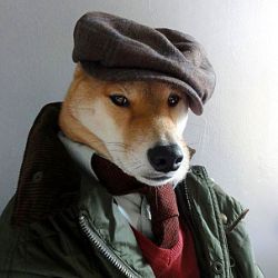 Аватар пользователя