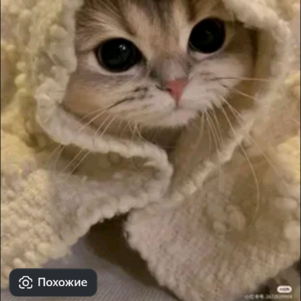 Аватар пользователя