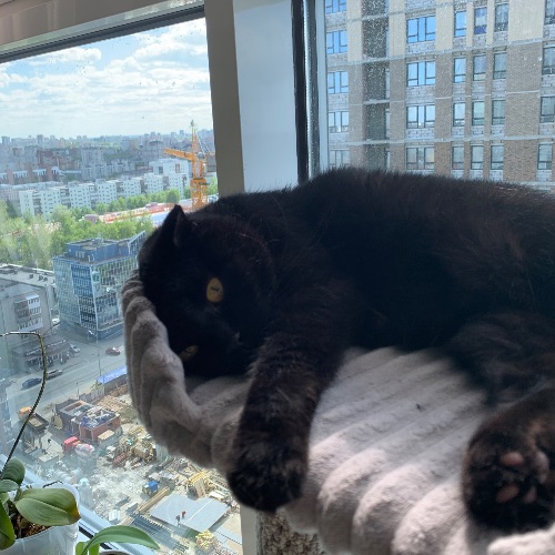 Аватар пользователя