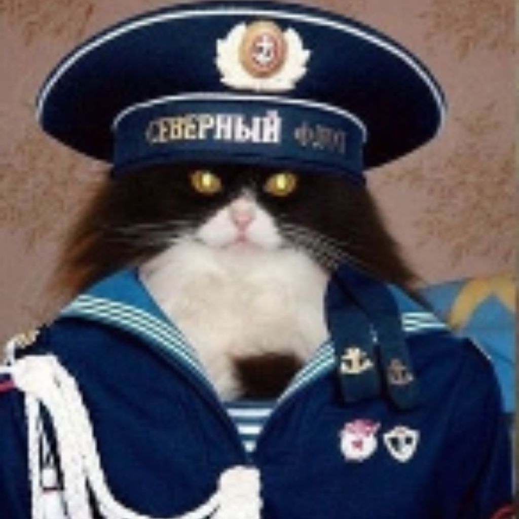Аватар пользователя