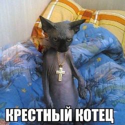 Аватар пользователя