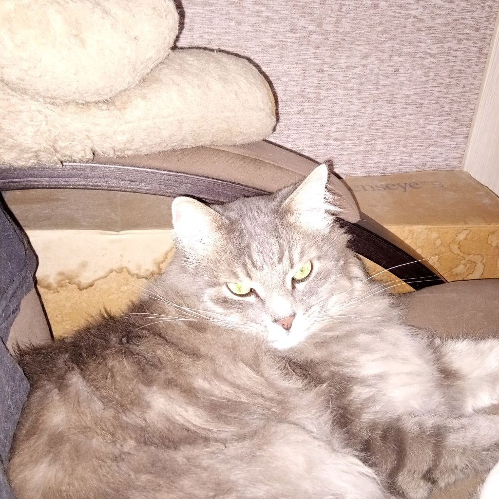 Аватар пользователя