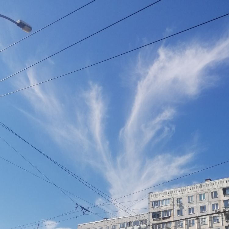 Аватар пользователя
