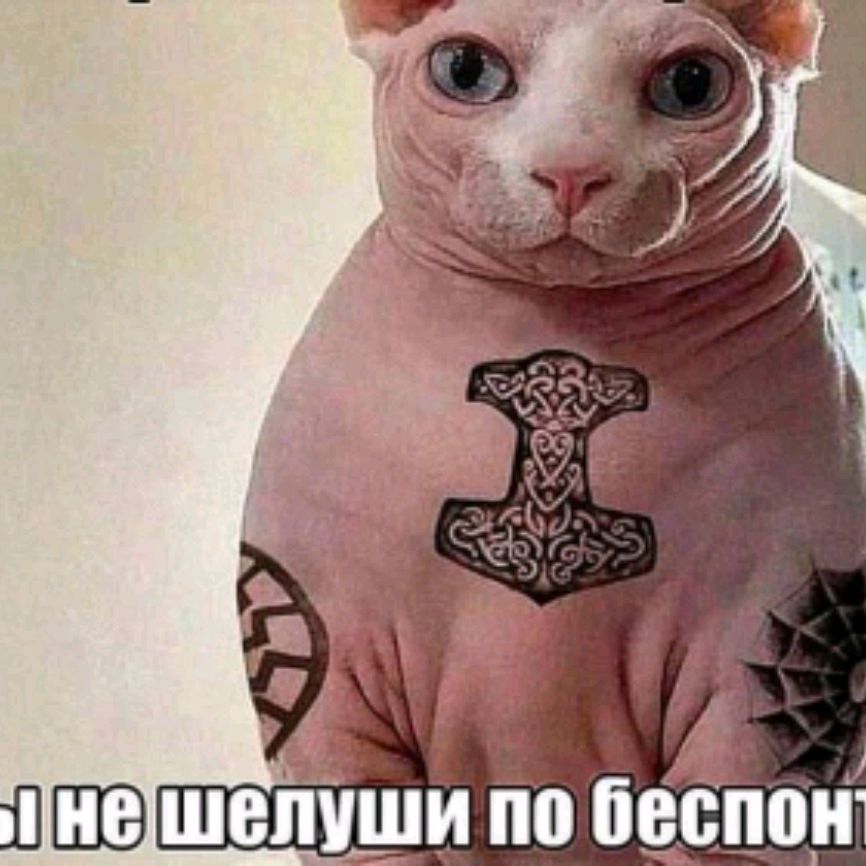 Аватар пользователя