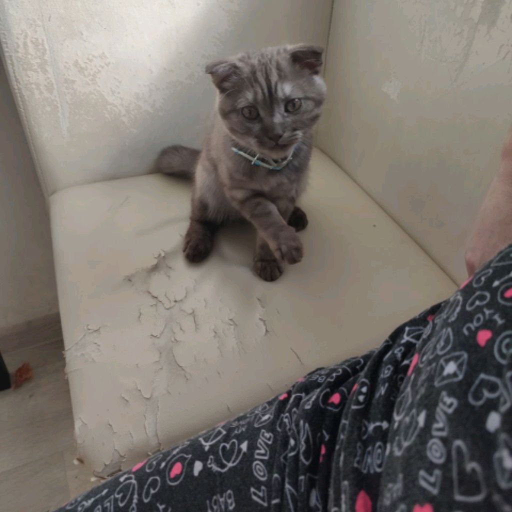 Аватар пользователя