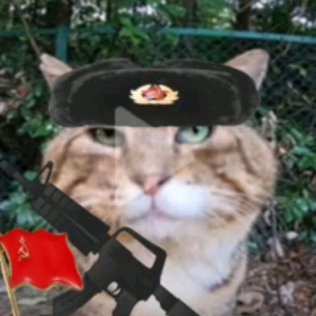 Аватар пользователя
