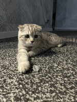 Аватар пользователя