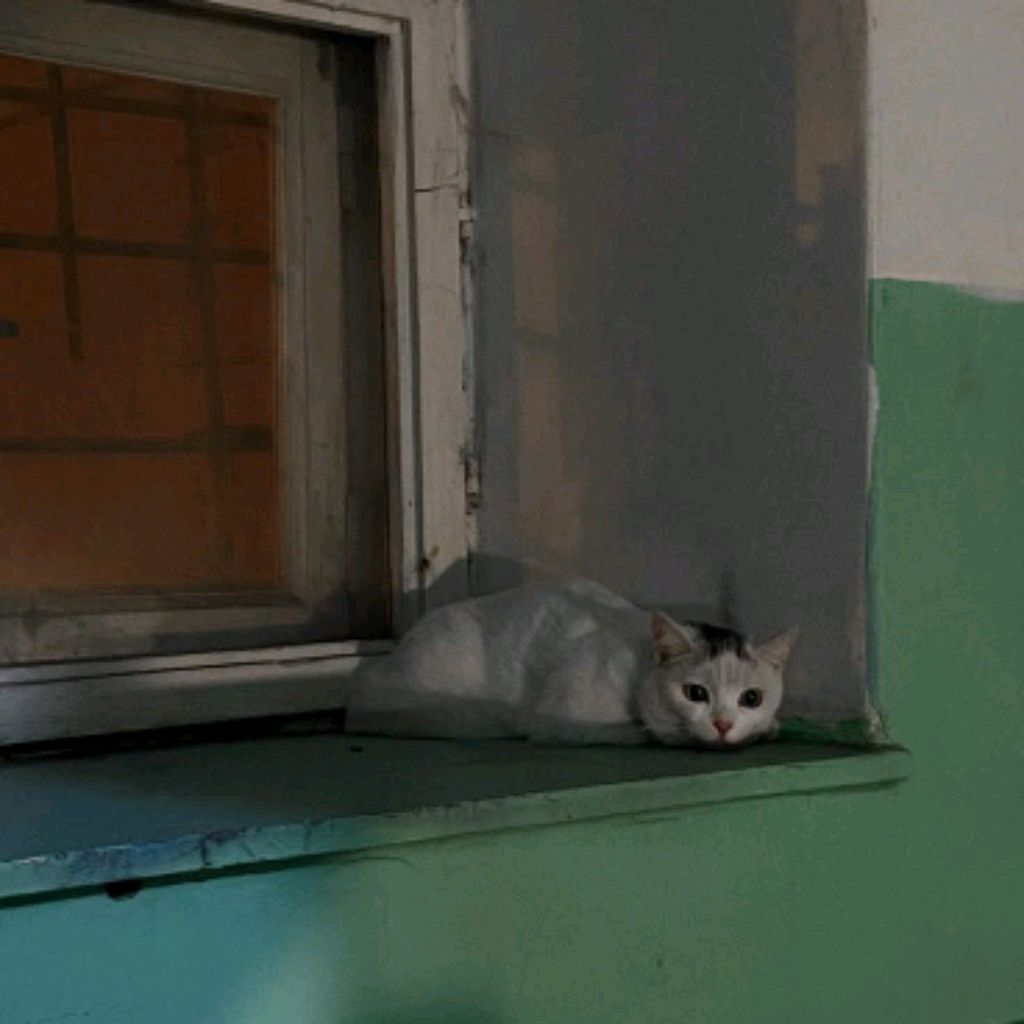 Аватар пользователя